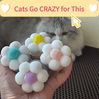 Catnip Chase Ball Toy