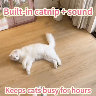 Catnip Chase Ball Toy