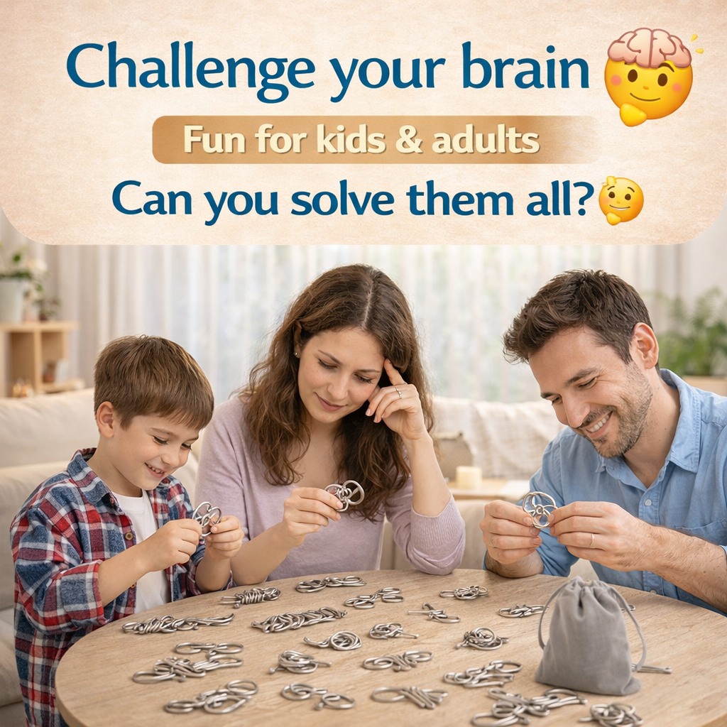 24-Piece Metal Brain Puzzle Set