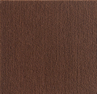Hot sale -46%🔥Cat Scratching